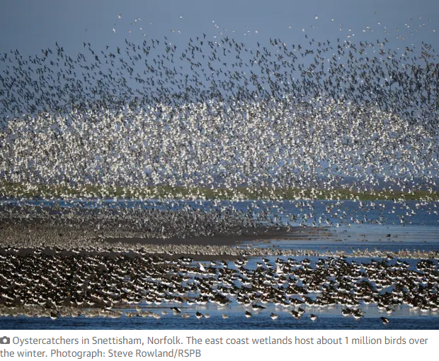 brancaster stays coastline of North Norfolk