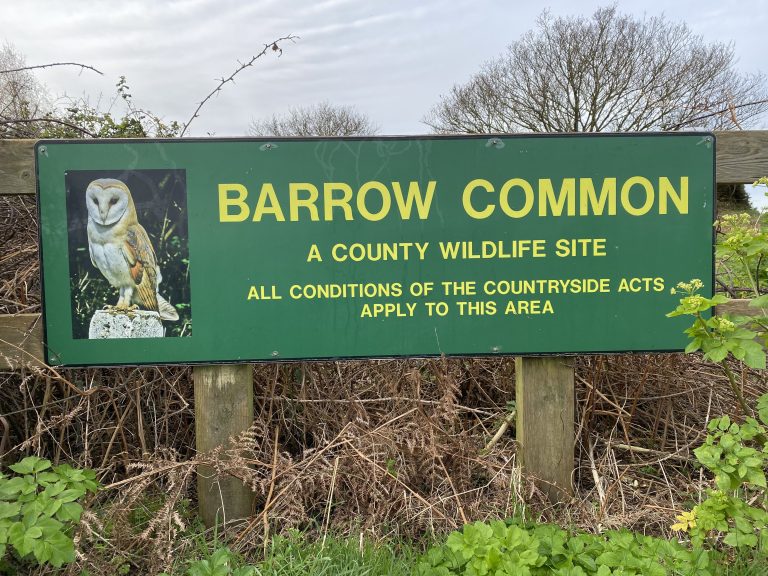 A Coastal Settlement on the Barrow Coast