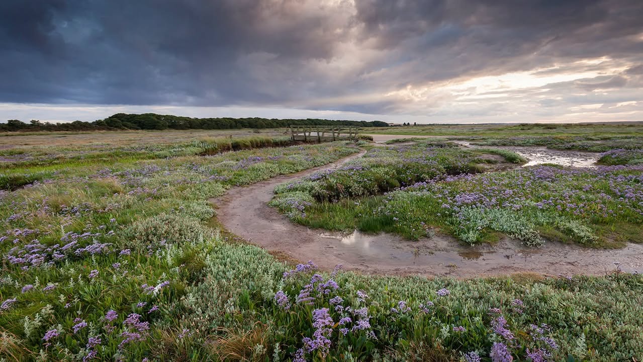 Brancaster Stays