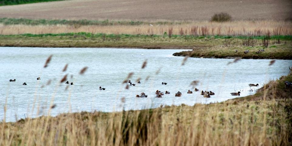 Brancaster Stays
